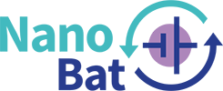 nanobat logo